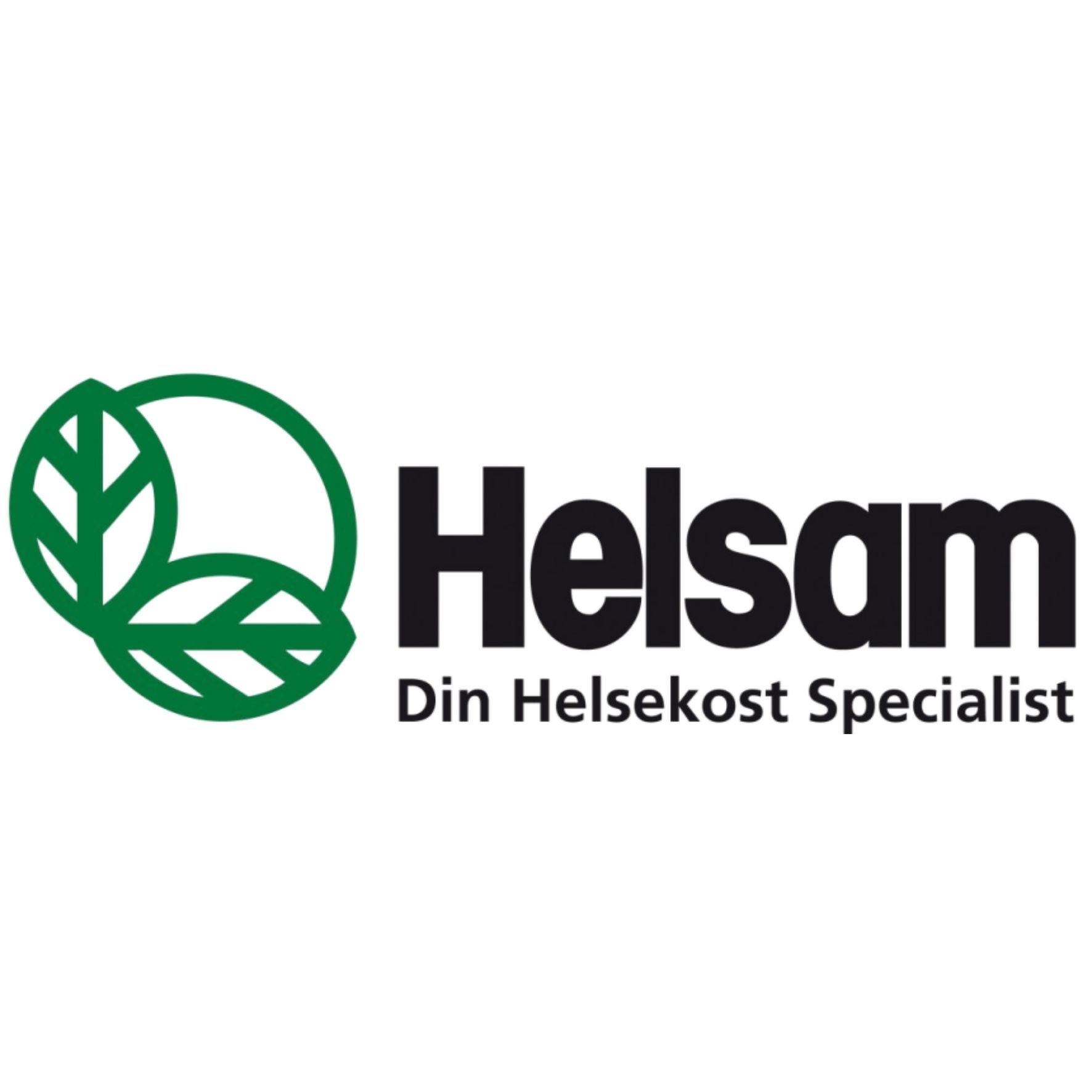 Logo Skabelon Hjemmeside 41
