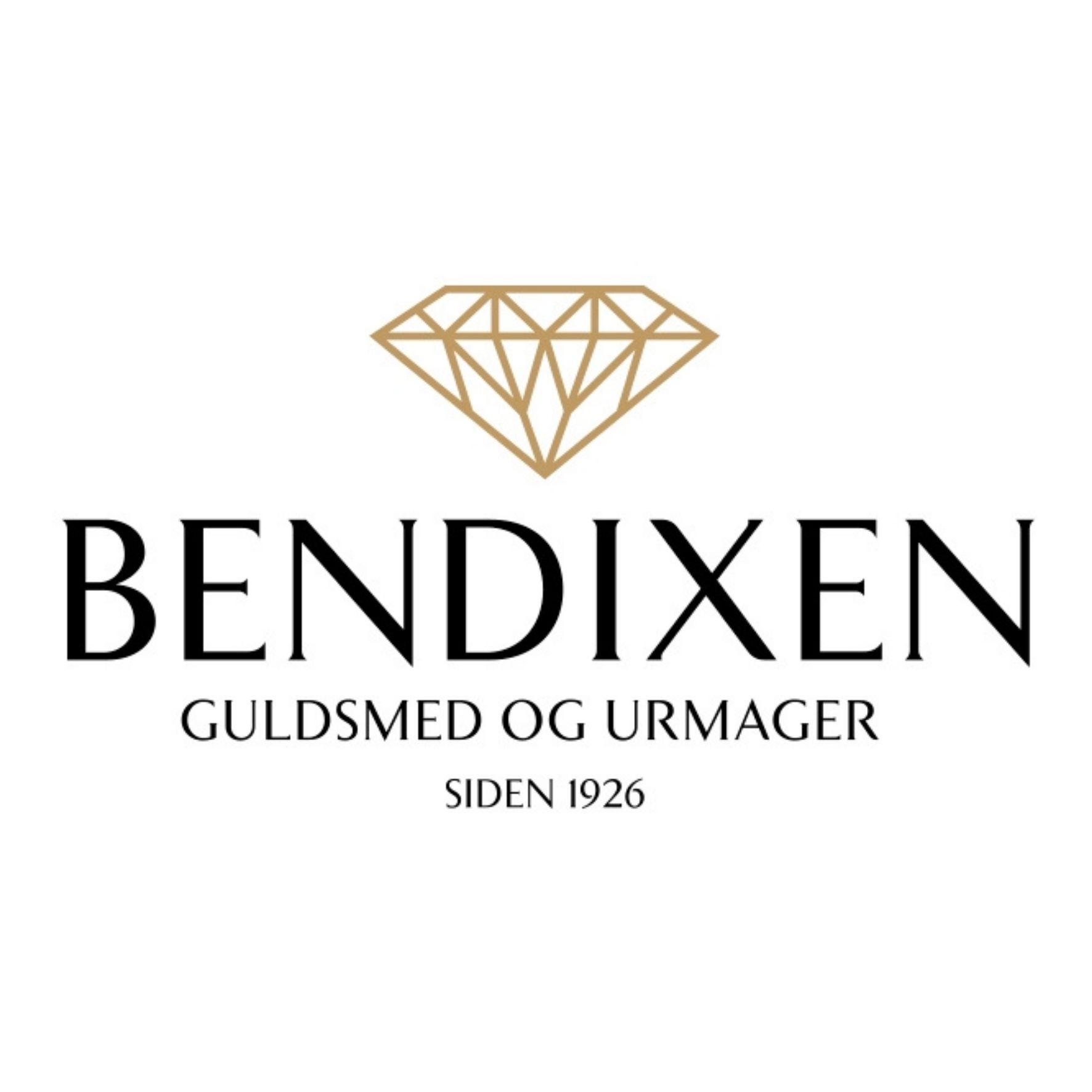 Logo Skabelon Hjemmeside 27