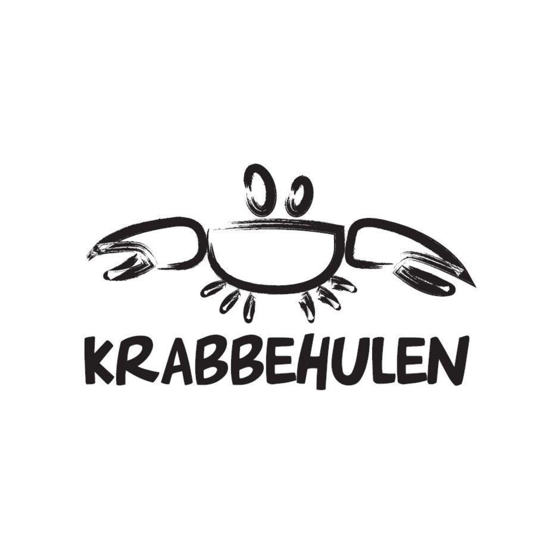Logo Skabelon Hjemmeside 13